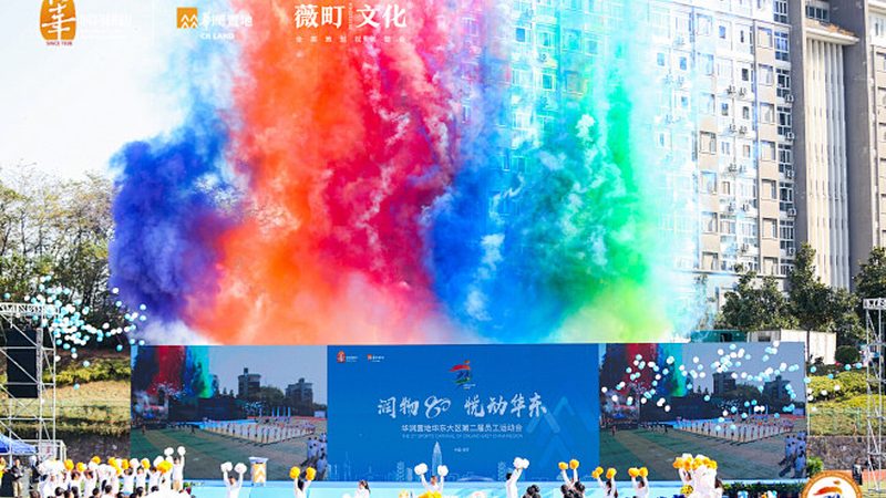 广州品牌策划公司类型解析：如何选择最适合你的合作伙伴